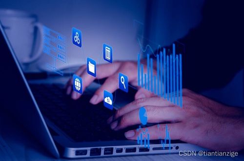 数字时代的文化传承 论Facebook的文化责任与数字文化创意服务